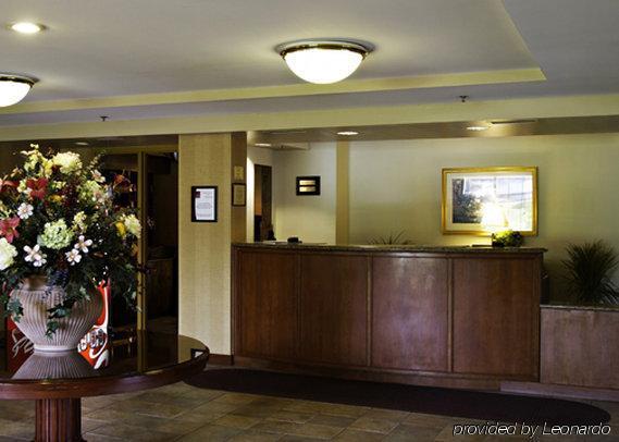 Holiday Inn Baltimore BWI Airport, An Ihg Hotel Linthicum Interiér fotografie